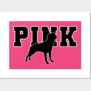 PINK COLLEGE Posters and Art